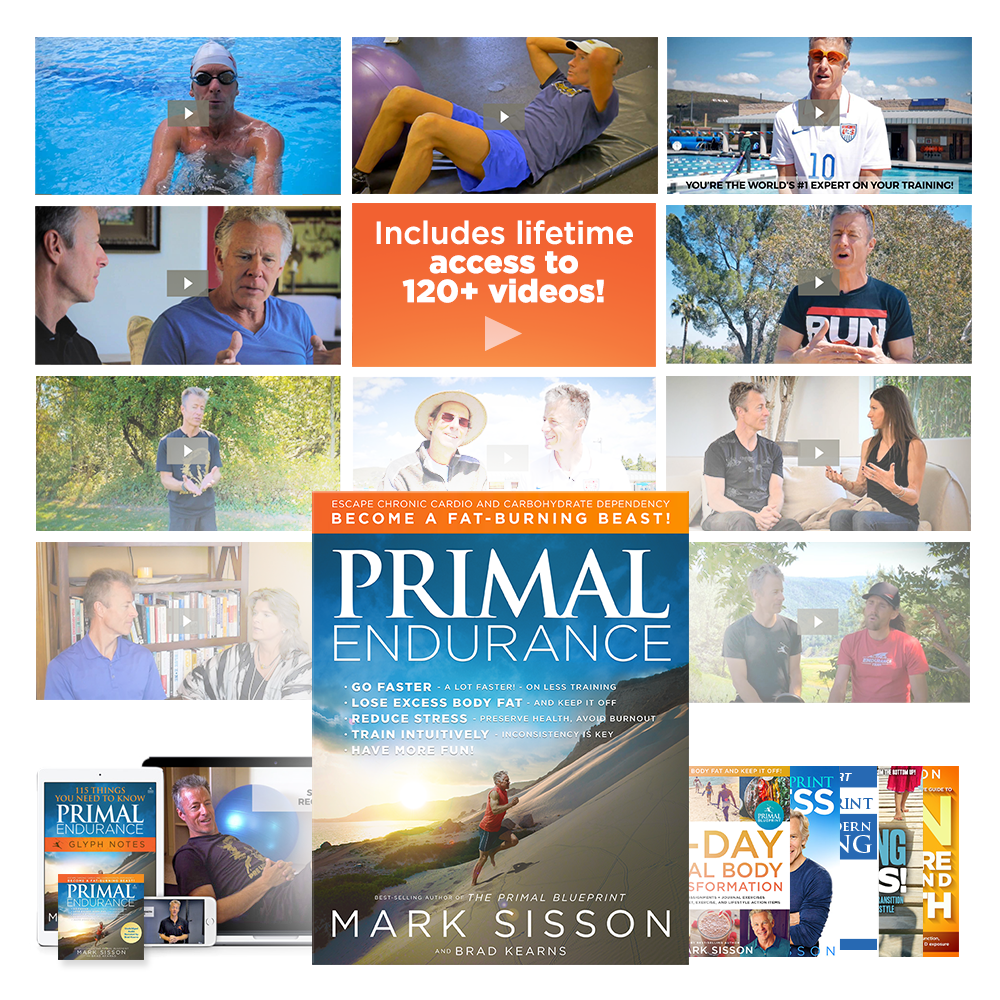 Announcing the New Primal Endurance Course!